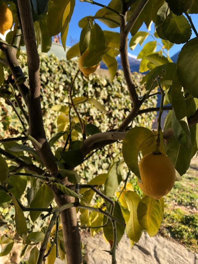 Agriturismo Cavria Bed & Breakfast Castione Andevenno Exterior photo